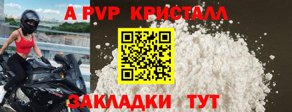 A PVP СК Новокузнецк