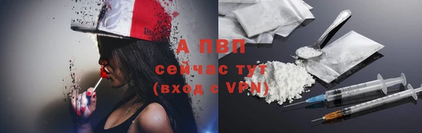 дмт Анива
