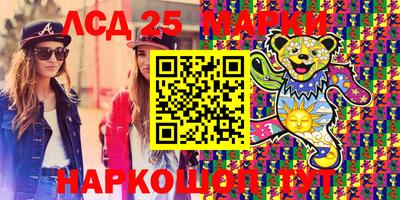 крисы Шахты