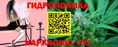 крисы Шахты