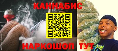 крисы Шахты
