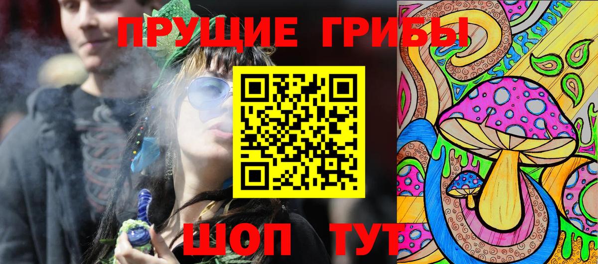 Новокузнецк  Псилоцибиновые грибы мицелий  Вход с VPN 
