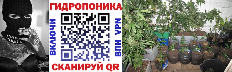 Бошки Шишки гибрид  Новокузнецк 
